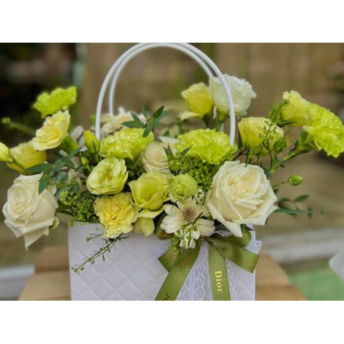 Giới thiệu về sản phẩm